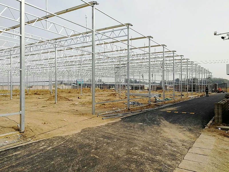 small4_15561816083134748