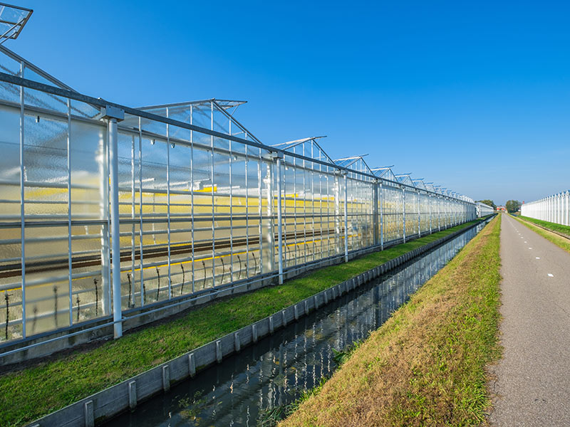 連棟溫室的使用事項(xiàng)有哪些?