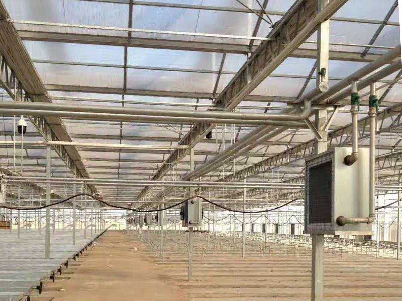 智能溫室生產(chǎn)中棚內(nèi)濕度如何調(diào)節(jié)?